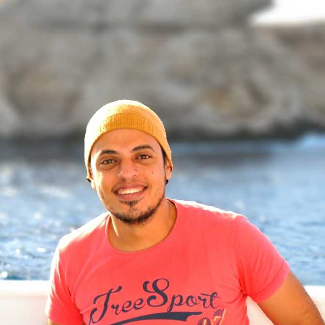 أحمد الصفطاوي