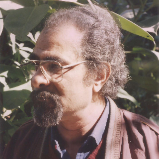 Mosaad Ahmed Ismail