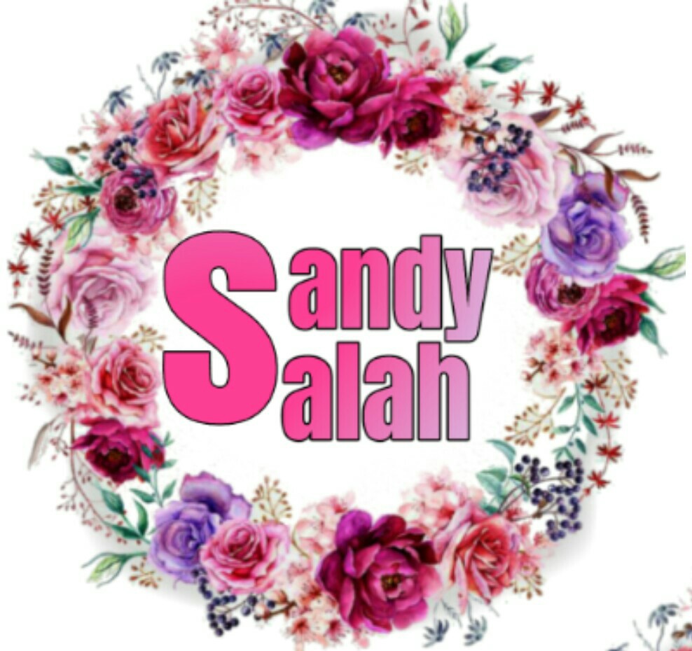 Sandy Salah