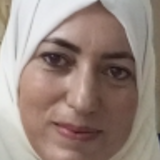 Hasna Cheikh
