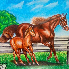 Beauty of horses