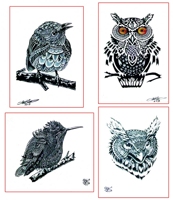Owls and Birds Collection