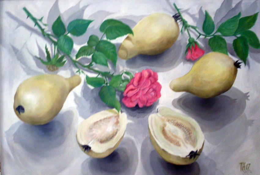 Still life Guava and Roses