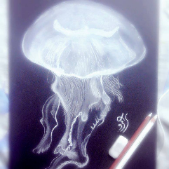 light the jellyfish