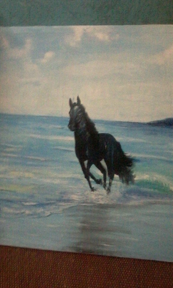 الحصان الاسود بالشاطئ