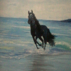 الحصان الاسود بالشاطئ