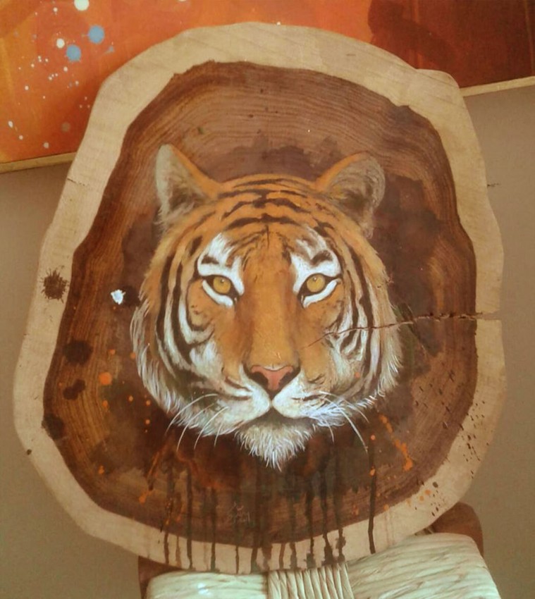 Drawing On a Tree Trunk