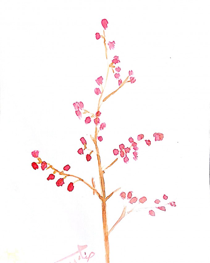 Branch Of Flowers