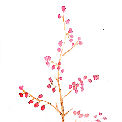 Branch Of Flowers