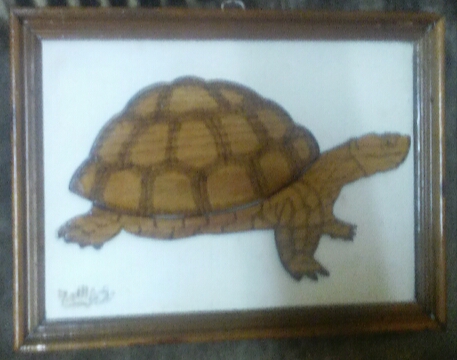 Ninga Turtle