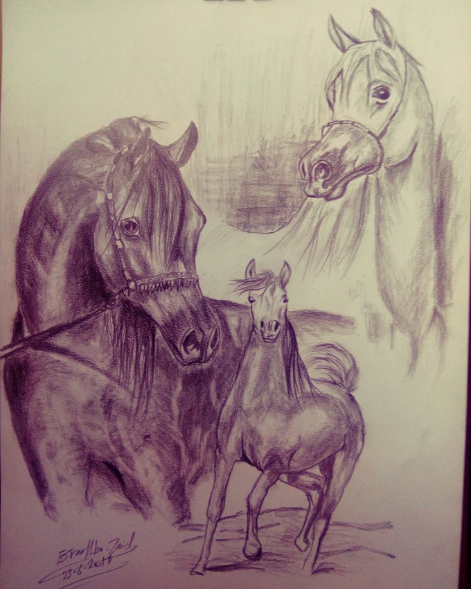 خيال حصان