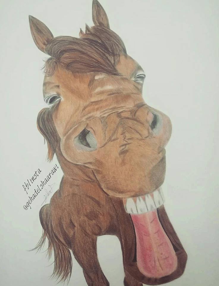 smiling horse
