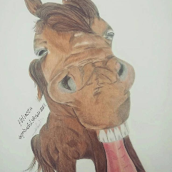 الحصان المبتسم