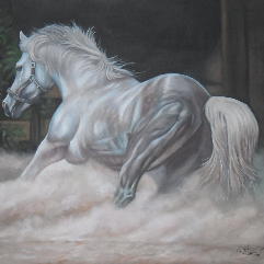 حصان عربي