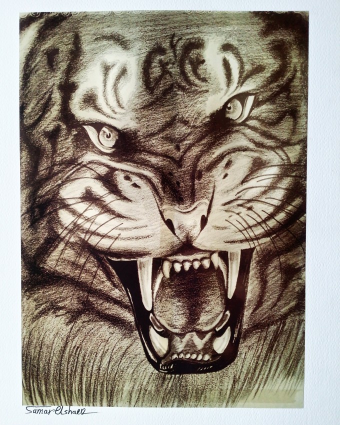 نمر غاضب