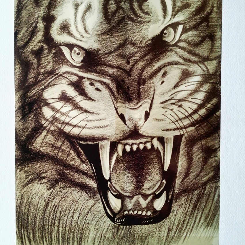 Angry  Tiger