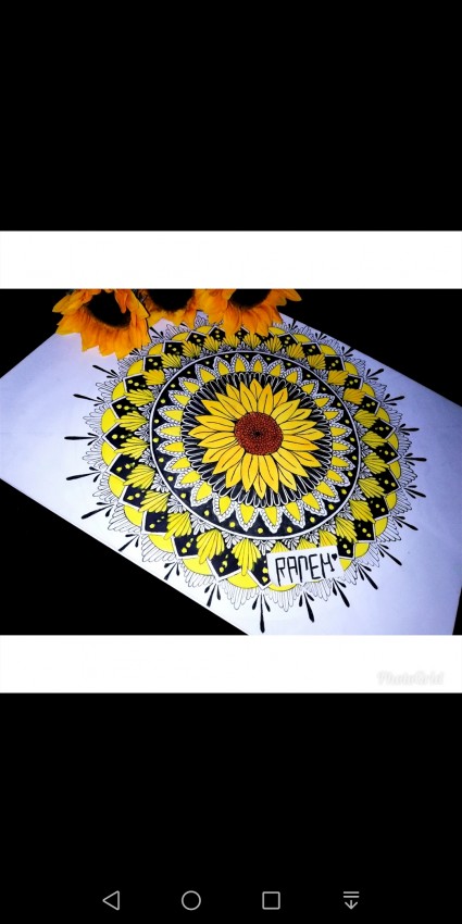 Sunflowers Mandala