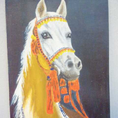 The Arabian Horse