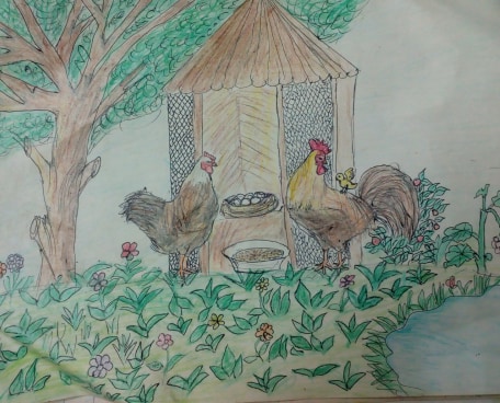 بيت للدجاج