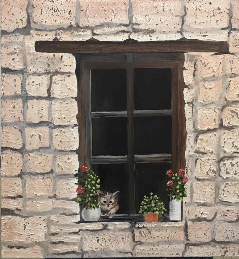 Little Kitten In The Window