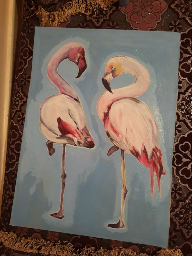 Beautiful Flamingos