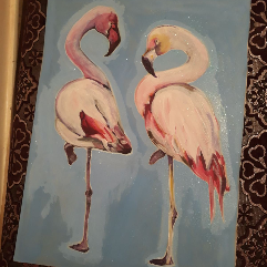 Beautiful Flamingos