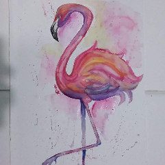 Flamingo (Copied)