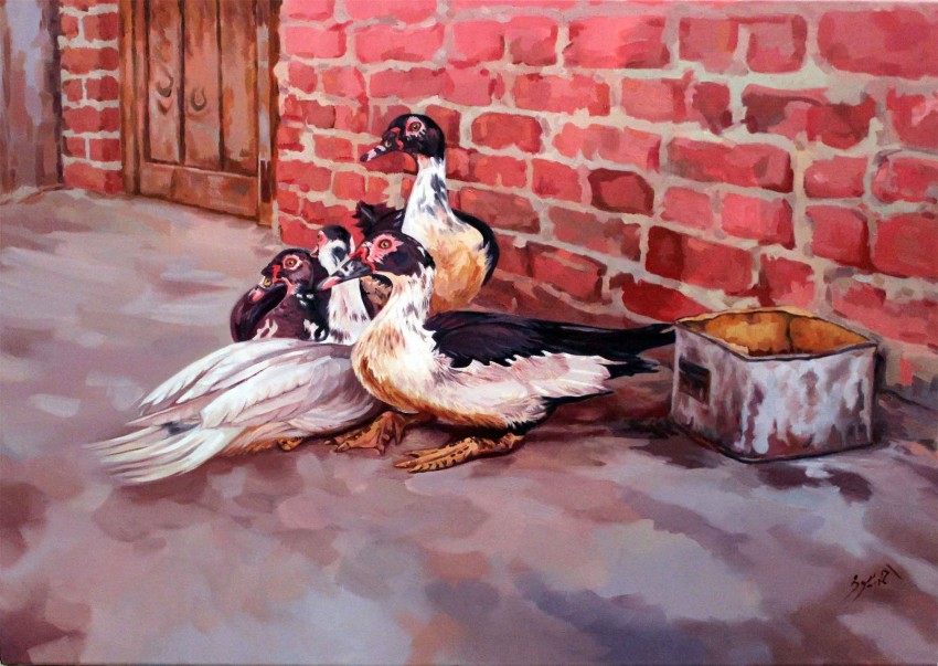 Ducks' House