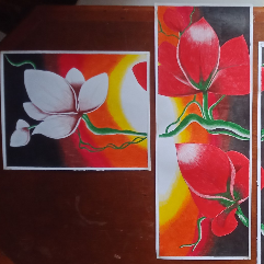 مجموعة من ٤ لوحات أقلام رصاص ملونة