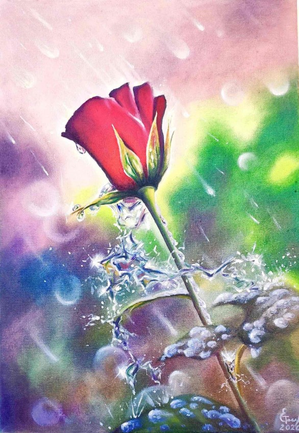 Red Rose Under The Rain