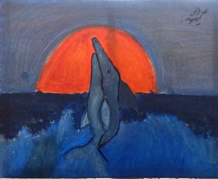 Dolphin jump at sunset