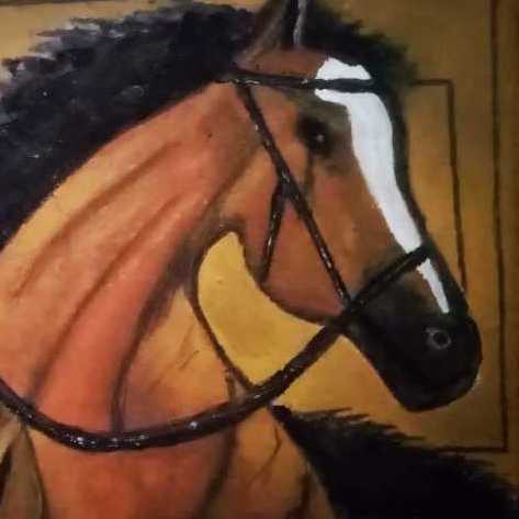 Pure Arabian Horse