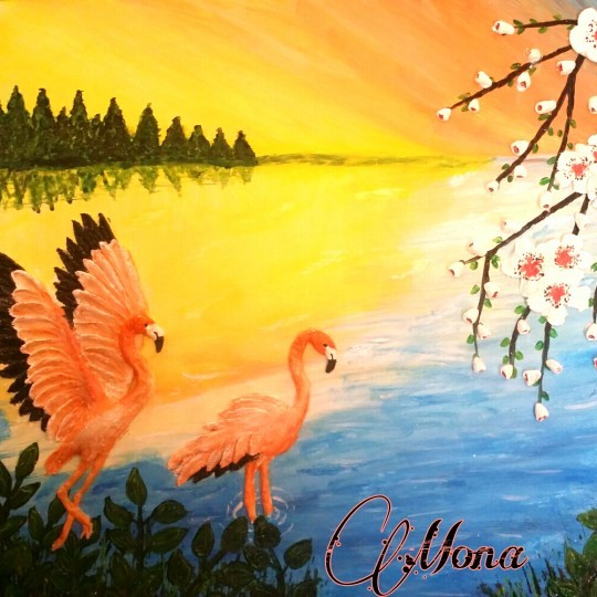 The Flamingo Lake