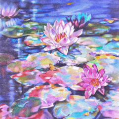 Water Lillies