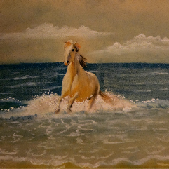 Horse By The Beach